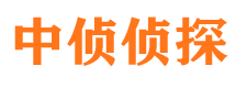 兰山寻人公司